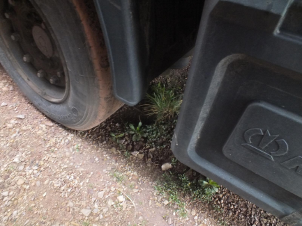 Zdjęcie przedmiotu: KRONE SD Curtain trailer