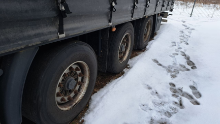 Zdjęcie przedmiotu: KASSBOHRER Mega XS 39.0t 