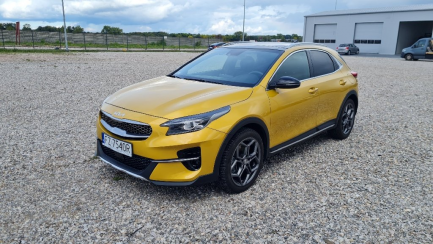 Zdjęcie przedmiotu: Kia XCeed 1.5 T-GDI L Business Line