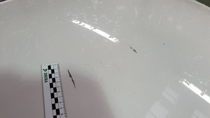 Zdjęcie przedmiotu: Skoda Octavia III 1.0 TSI Ambition