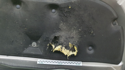 Zdjęcie przedmiotu: Toyota Avensis sedan