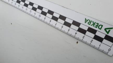 Zdjęcie przedmiotu: Renault Master dCi 100 L3H2 Pack Clim Euro 5