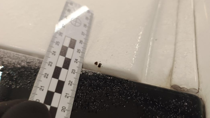 Zdjęcie przedmiotu: Peugeot Expert 2.0 BlueHDi E6 2.9t Long Premium