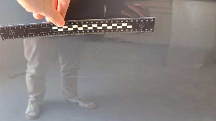 Zdjęcie przedmiotu: Volkswagen Caravelle T6 TDi E6 3.0t Comfortline