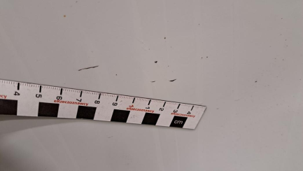 Zdjęcie przedmiotu: Renault Trafic Passenger 1.6 dCi E6 2.8t L1H1P1 Pack Clim