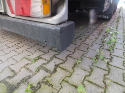 Zdjęcie przedmiotu: Naczepa kurtynowa MEGA KOGEL SN24 S 24-1