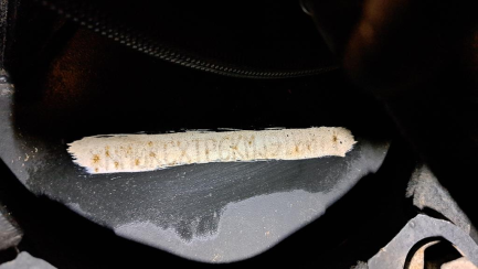 Zdjęcie przedmiotu: Ford F-MAX 12.7 TDCi E6d 18.0t