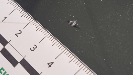 Zdjęcie przedmiotu: Skoda Superb III 2.0 TDI SCR Style DSG