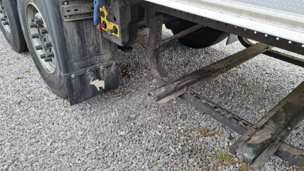 Zdjęcie przedmiotu: SCHMITZ SKO 24 35.0t Refrigerator