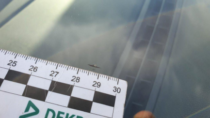 Zdjęcie przedmiotu: Volkswagen Golf Combi