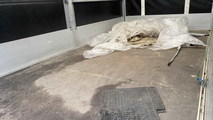 Zdjęcie przedmiotu: Opel Movano 2.3 CDTI E6 3.5t L3H1