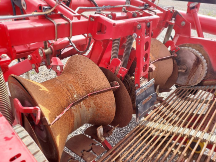 Zdjęcie przedmiotu: Potato harvester GRIMME GT 170S-MS