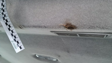 Zdjęcie przedmiotu: Opel Vivaro L2H1 2,9t 1.6 BiTurbo CDTI Euro 6 1598ccm - 125HP