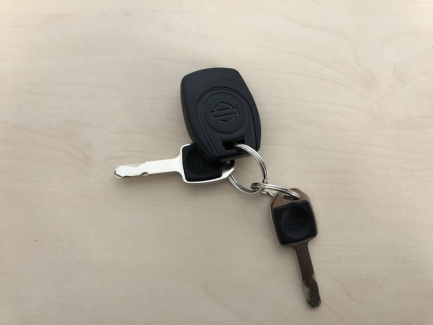 Zdjęcie przedmiotu: Harley-Davidson Pan America Specjal