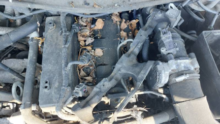 Zdjęcie przedmiotu: Ford Ranger 3.2 TDCi E5 3.2t Limited Oświadczenie o utracie DR