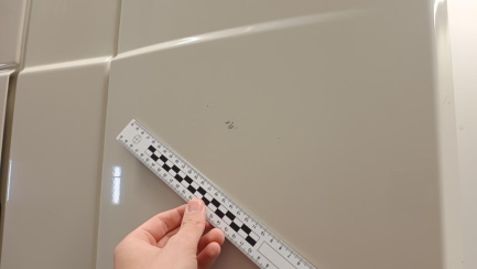 Zdjęcie przedmiotu: DAF XF FT Space Cab 480 E6 21.0t