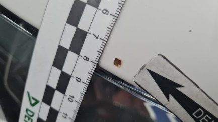 Zdjęcie przedmiotu: Seat Ibiza ST 1.2 TSI Reference