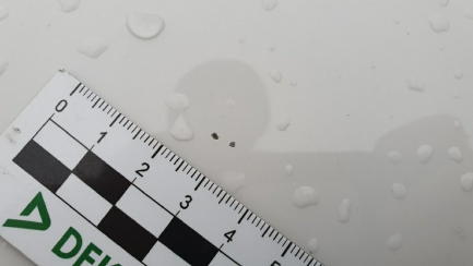 Zdjęcie przedmiotu: Bmw X4 xDrive20d M Sport aut