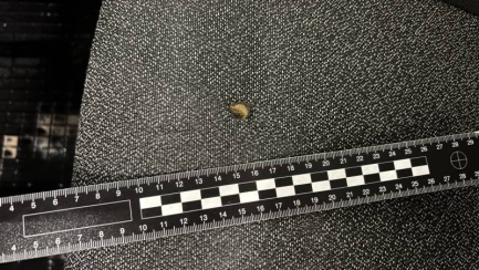 Zdjęcie przedmiotu: Fiat Ducato 33 2.3 M-jet E6d 3.3t L2H2