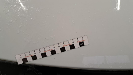 Zdjęcie przedmiotu: Renault Trafic Passenger 1.6 dCi E6 2.8t L1H1P1 Pack Clim