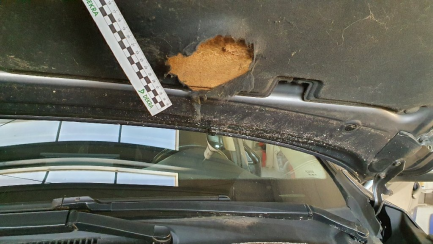 Zdjęcie przedmiotu: Lexus NX300h Elite AWD