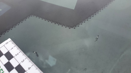 Zdjęcie przedmiotu: Jaguar Xf 2.0 i4D Portfolio aut