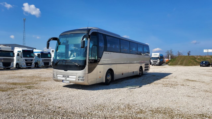 Zdjęcie przedmiotu: MAN LION'S Coach R07