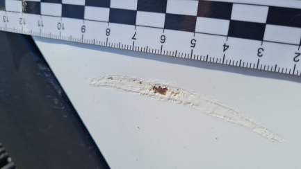 Zdjęcie przedmiotu: Kia Sportage 1.7 CRDI Business Line 2WD DCT