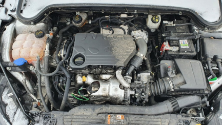 Zdjęcie przedmiotu: Ford Focus Універсал 1.5 EcoBlue Trend Edition