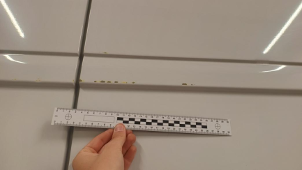 Zdjęcie przedmiotu: Fiat Ducato MAXI HD 2.2 H3-POWER E6.4 3.5t L4H3