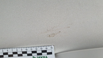 Zdjęcie przedmiotu: Ford Focus Універсал 1.5 EcoBlue Trend Edition