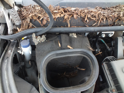 Zdjęcie przedmiotu: Iveco Daily 35C15 V L (19,6m3) Euro 5