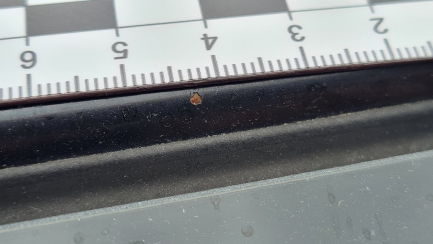 Zdjęcie przedmiotu: Bmw 320D Touring