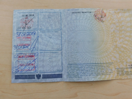 Zdjęcie przedmiotu: KRONE SD Curtain semitrailer