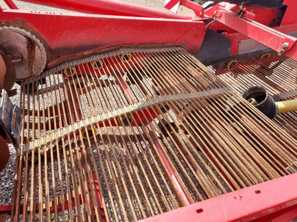 Zdjęcie przedmiotu: Potato harvester GRIMME GT 170S-MS