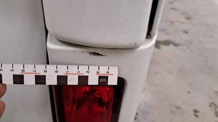 Zdjęcie przedmiotu: Renault Trafic Passenger 1.6 dCi E6 2.8t L1H1P1 Pack Clim