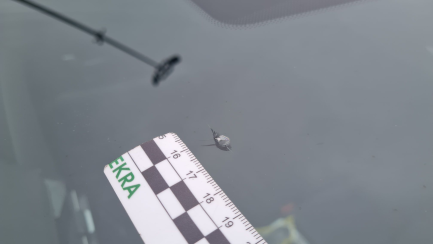 Zdjęcie przedmiotu: Hyundai Tucson 1.6 T-GDi 48V Smart 2WD DCT Oświadczenie o utracie DR