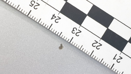 Zdjęcie przedmiotu: Toyota Yaris