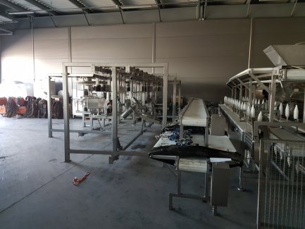 Zdjęcie przedmiotu: Line for poultry cutting and packing