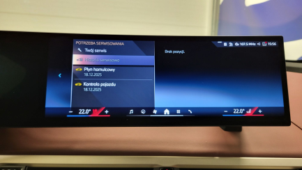 Zdjęcie przedmiotu: BMW iX xDrive40 76.6kWh