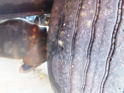 Zdjęcie przedmiotu: KRONE SD Curtain trailer