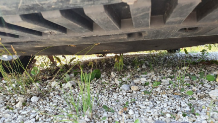 Zdjęcie przedmiotu: Ford Mondeo Hatchback 2.0 TDCi Gold X (Trend)