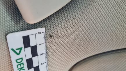 Zdjęcie przedmiotu: Audi A6 Allroad 3.0 TDI Quattro Tiptr.