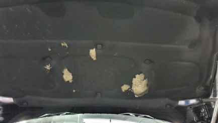 Zdjęcie przedmiotu: Porsche Cayenne II DIESEL