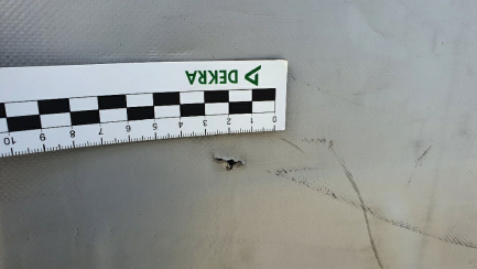 Zdjęcie przedmiotu: 