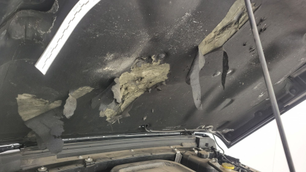 Zdjęcie przedmiotu: Jeep Wrangler Unlimited GME 2.0 Turbo 80th Anniversary