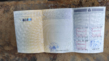 Zdjęcie przedmiotu: WIELTON NS3K Dropside