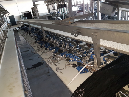 Zdjęcie przedmiotu: Line for poultry cutting and packing