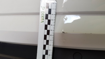 Zdjęcie przedmiotu: Skoda Octavia