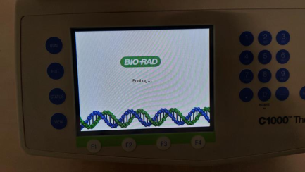 Zdjęcie przedmiotu: Termocykler BIORAD CFX96 Real Time PCR